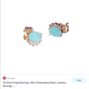 ✨ISO TAI Studd Earrings✨